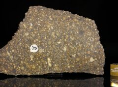 NWA 6254 (32.77 gram)