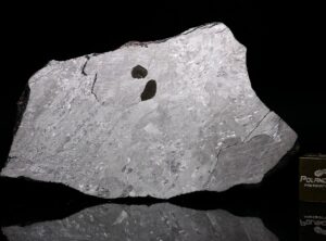 MOUNT DOOLING (49.90 gram)