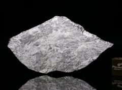 MOUNT DOOLING (29.78 gram)