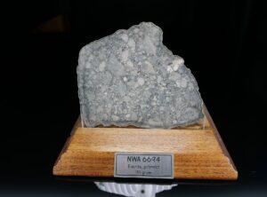 NWA 6694 (115 gram)