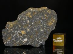 NWA 13757 (16.90 gram) endpiece