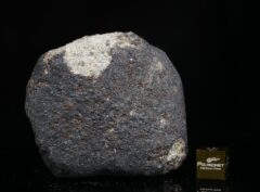 El Hassan Ould Hamed 002 (190 gram)