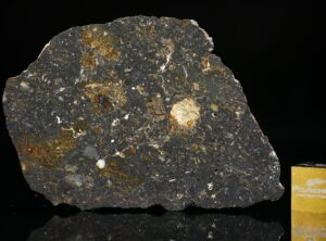 NWA 13757 (6.45 gram)