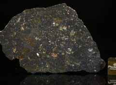 NWA 13757 (6.48 gram)