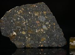 NWA 13757 (6.45 gram)