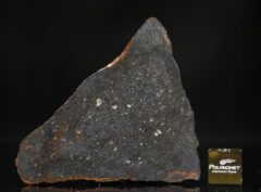 NWA 13272 (13.40 gram)