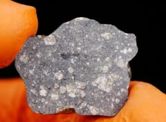 NWA 8647 (4.69 gram) endpiece