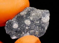 NWA 8647 (2.91 gram)  endpiece
