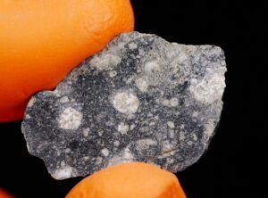 NWA 8647 (2.91 gram) endpiece