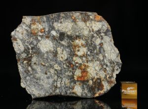 NWA 5495 (29.28 gram)