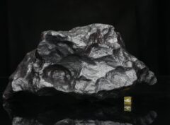 YAROVOYE IIIAB iron meteorite cast