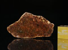 NWA 7813 (4.14 gram)
