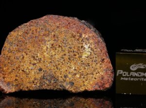 NWA 011 pairing (6.242 gram) endpiece