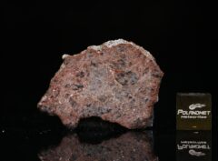 DHOFAR 1766 (1.84 gram)
