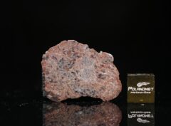 DHOFAR 1766 (3.72 gram) endpiece