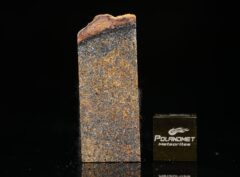 ZAKŁODZIE (2.98 gram)