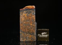 ZAKŁODZIE (5.51 gram)
