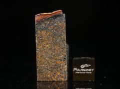 ZAKŁODZIE (2.92 gram)