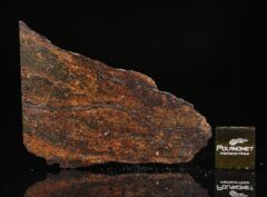 NWA 6308 (6.81 gram)