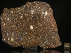 NWA 13309 (53.26 gram)