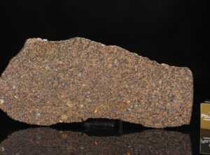 NWA 5498 (18.52 gram)