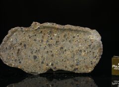 NWA 4966 (12.89 gram)