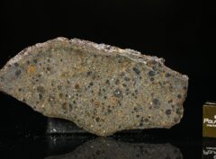 NWA 4966 (10.17 gram)