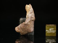 GEBEL KAMIL (10.9 gram)