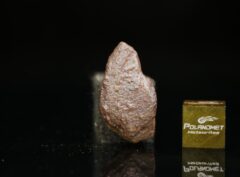 GEBEL KAMIL (10 gram)