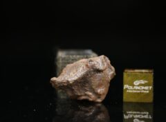 GEBEL KAMIL (12.6 gram)
