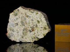 NWA 7490 (3.90 gram)