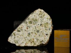 NWA 7490 (3.81 gram)
