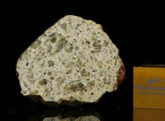 NWA 7490 (3.97 gram)