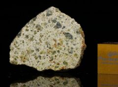 NWA 7490 (3.86 gram)