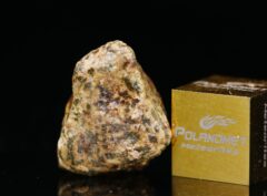 Erg Chech 002 (2.87 gram)