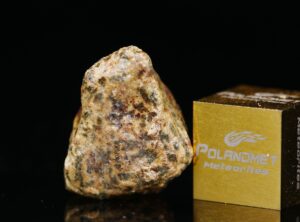 Erg Chech 002 (2.87 gram)
