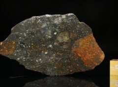 NWA 14678 (15.12 gram)