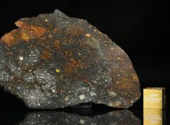 NWA 14678 (19.30 gram)