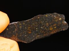 NWA 14678 (2.85 gram)