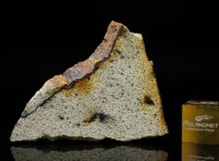 NWA 13446 (4.02 gram)