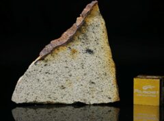 NWA 13446 (5.00 gram)