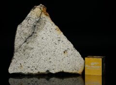 NWA 13446 (6.00 gram)