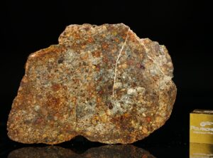 NWA 7171 (14.22 gram)