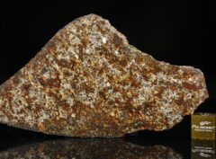 NWA 7162 (26.78 gram)