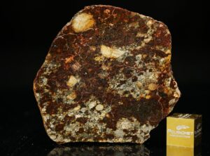 NWA 8355 (14.46 gram)