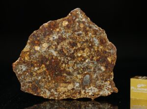 NWA 11386 (10.80 gram)