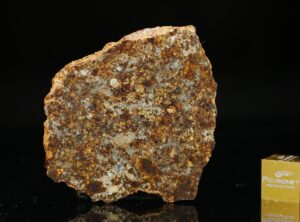 NWA 11386 (11.17 gram)