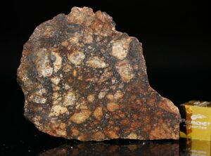 NWA 11742 (9.60 gram)