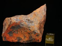 HICKMAN (197 gram)