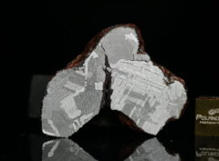 MUNDRABILLA (39.3 gram)